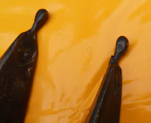 Sydney Kumalo - Twee vrouwen kopen? Bied vanaf 160!