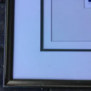 Ad van Hassel - Rode Tulpen. kopen? Bied vanaf 40!