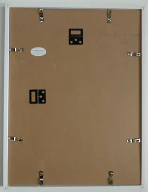 Paul Nieuwendijk - De expressie van bloemen kopen? Bied vanaf 50!