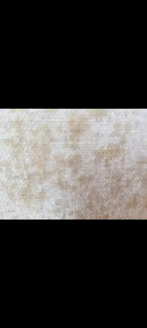 Arend van de Pol - Landschap/ boerderij kopen? Bied vanaf 100!