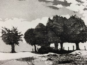 Nicolaas Wijnberg - ets - 'Landschap met bomen' - 1978 - Oplage slechts 12 stuks! kopen? Bied vanaf 49!