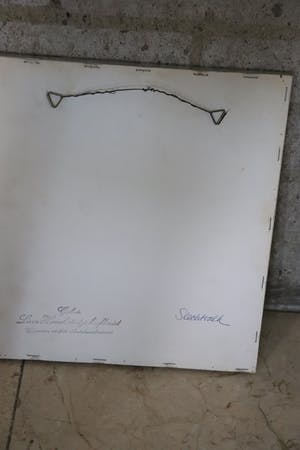 Ari Stolk - Slechtvalk kopen? Bied vanaf 25!