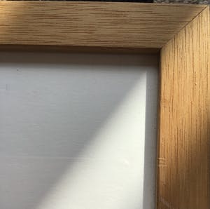 Ries Kleijnen - Ets aquatint, Een huis vol vogels, gesigneerd en ingelijst kopen? Bied vanaf 85!