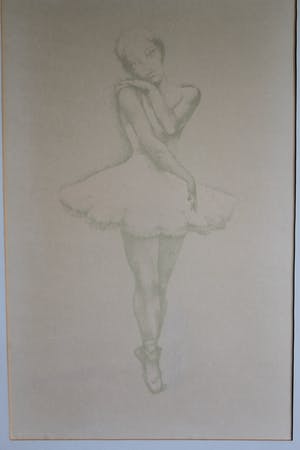 John Raedecker - Ballerina kopen? Bied vanaf 20!
