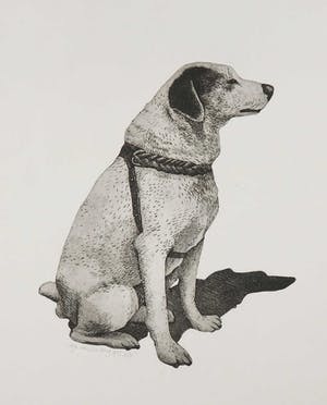 Arja van den Berg - Ets, Hond kopen? Bied vanaf 20!