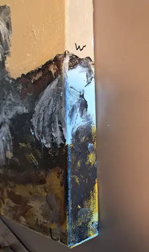 Anke Peddemors - Hond schnauzer kopen? Bied vanaf 35!