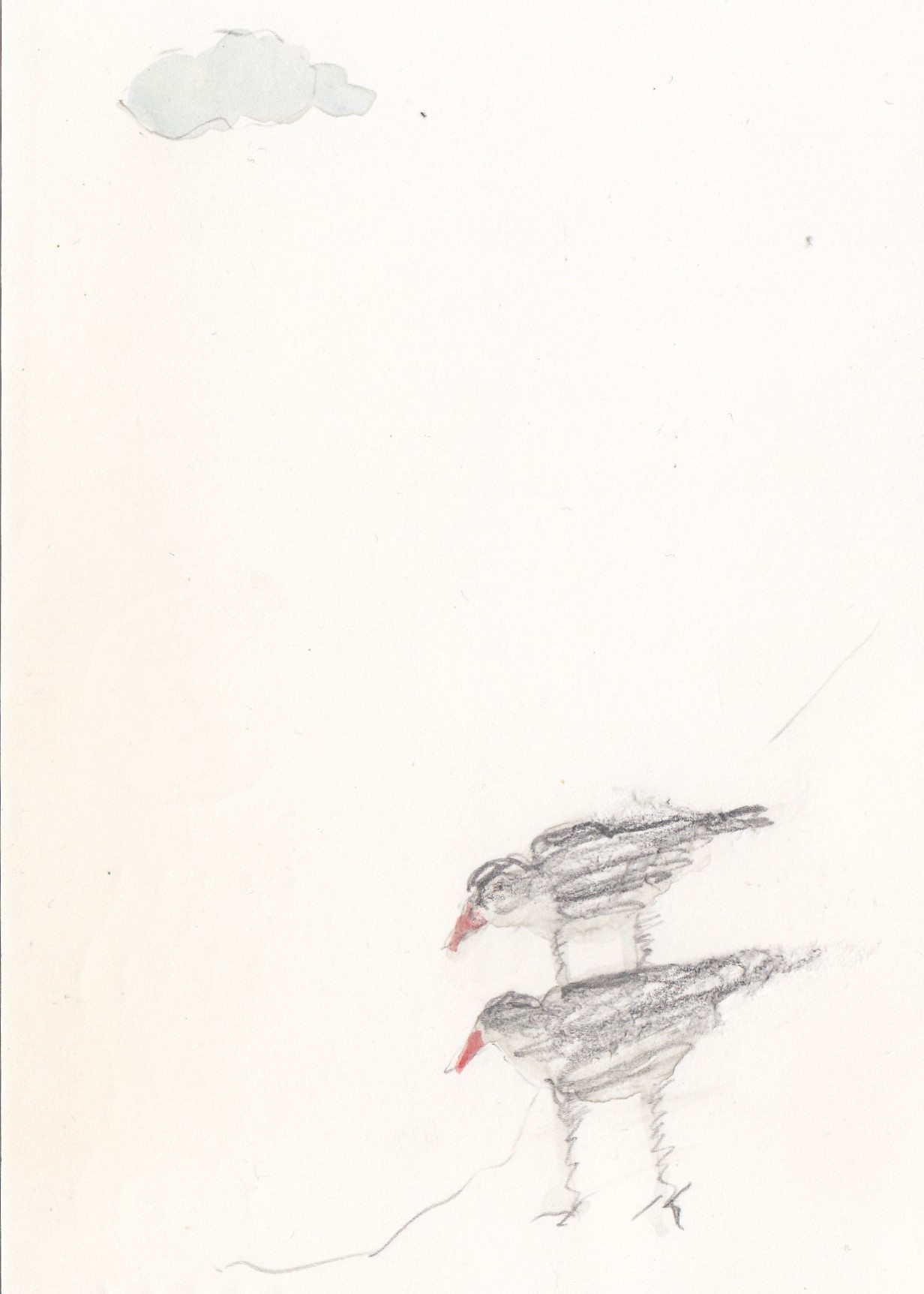 Jon Marten - Potlood met Aquarel -2 vogels 1980 kopen? Bied vanaf 1!
