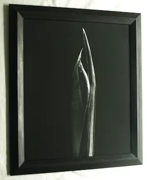 Jasper Wiedeman - Ingelijste foto , barietprint , Gladiool – 1993 - Lijst, 66 x 56 cm. kopen? Bied vanaf 125!