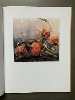 Fon Klement - Aquarellen - hardcover boek kopen? Bied vanaf 20!