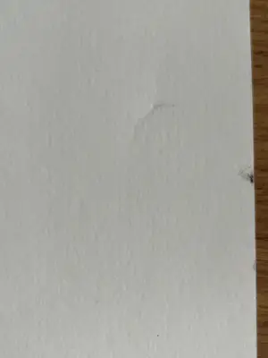 Ton van Kesteren - TWEE ZEEFDRUKKEN kopen? Bied vanaf 59!