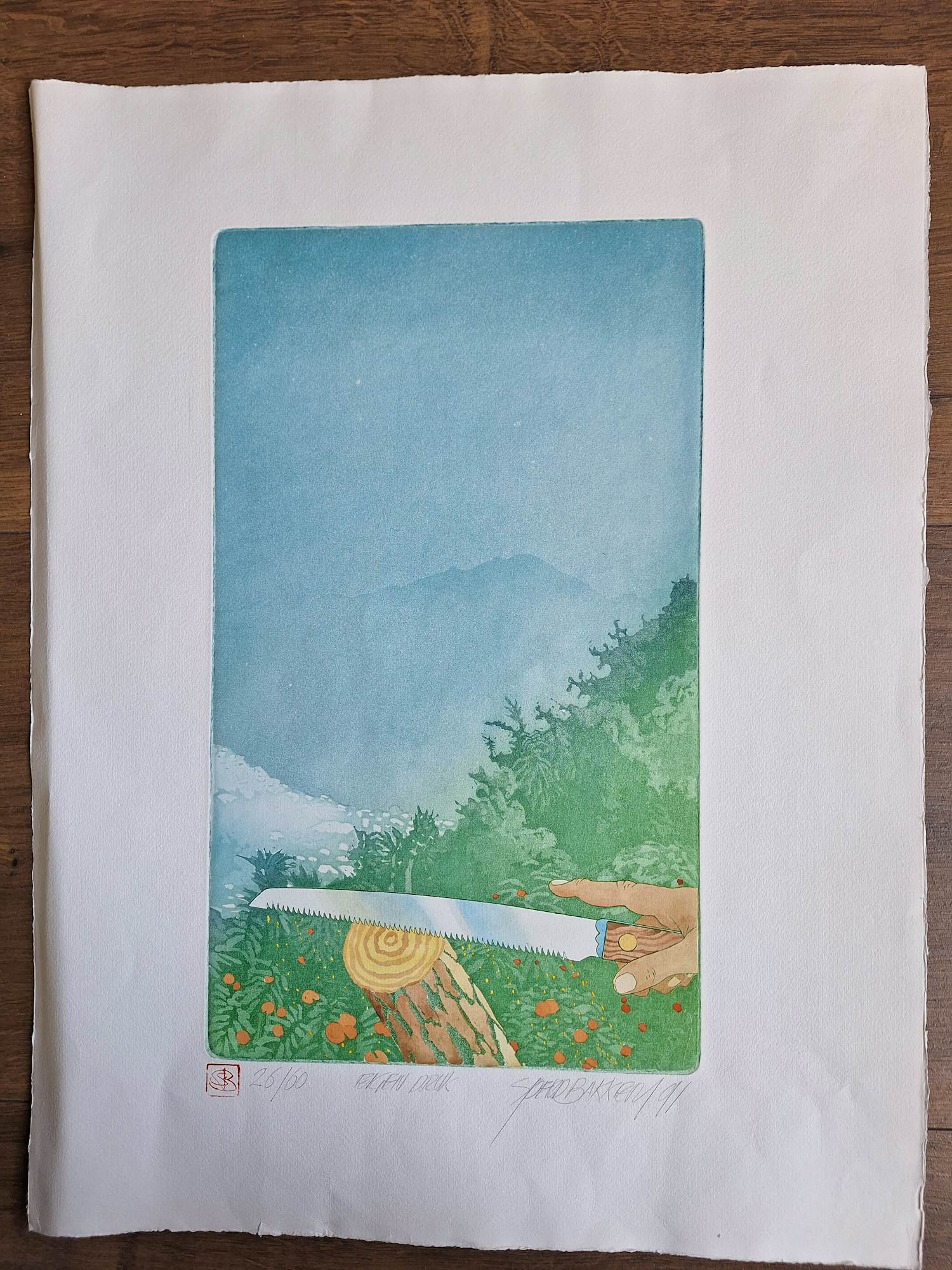 Sjoerd Bakker - Onbekend kopen? Bied vanaf 50!