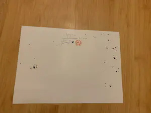 William Remory - Afwijzing kopen? Bied vanaf 150!