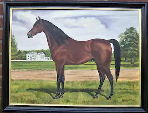 Henri Busy - Paarden Portret kopen? Bied vanaf 70!