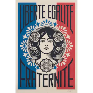 Shepard Fairey - Litho Liberte egalite fraternite op dik cream speckle tone papier kopen? Bied vanaf 11!
