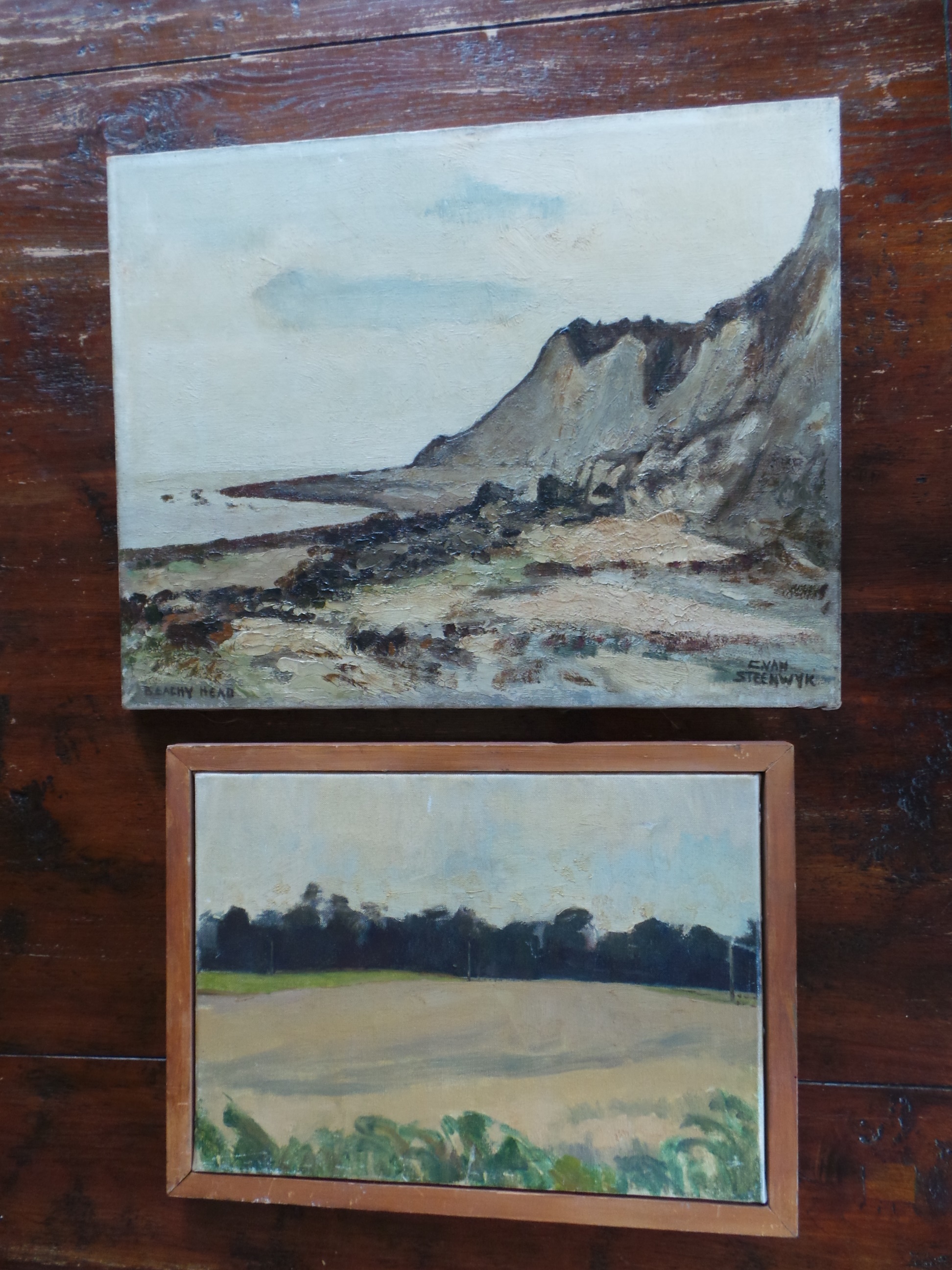 Niet of onleesbaar gesigneerd - Twee landschap kopen? Bied vanaf 1!