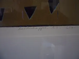 Willy van der Duyn - Houtsnede, Titel, Boodschapper. kopen? Bied vanaf 45!