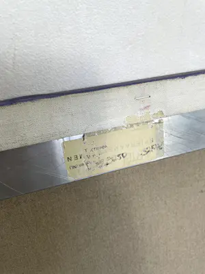 Maya Wildevuur - Bloemen kopen? Bied vanaf 400!