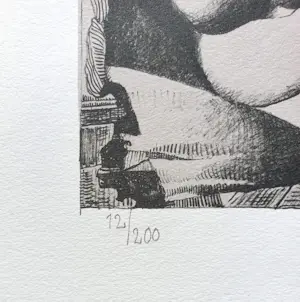 Nicolaas Wijnberg - Naakt over de schutting, originele dubbelpagina litho kopen? Bied vanaf 50!