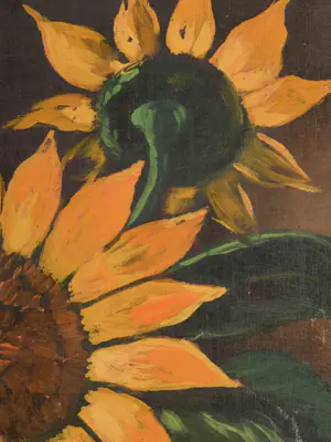 Jan Bakker - Zonnebloemen kopen? Bied vanaf 100!