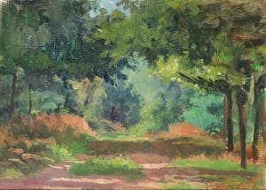 Jan Stapper - Olieverf op board, Bosgezicht kopen? Bied vanaf 60!