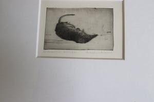 Anneke van Brussel - Spitsmuisje kopen? Bied vanaf 25!