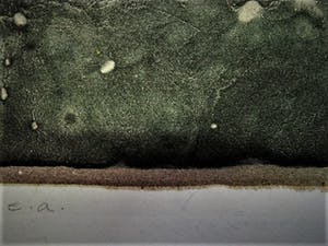 Ernst Hanke - Intrigerend realistisch Litho - E(preuve) A(rtiste) exemplaar - gesigneerd kopen? Bied vanaf 10!