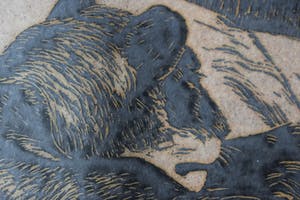 Antonius Hubertus Nordberg - Houtsnede - Leeuw kopen? Bied vanaf 60!