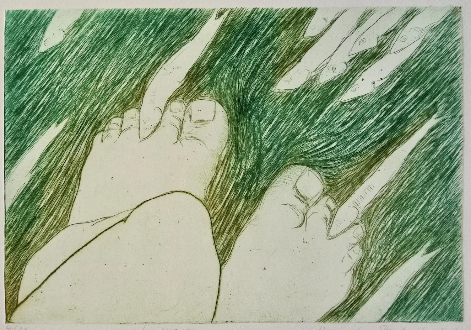 Hanneke Piederiet (1955)