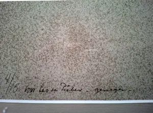 Pieter Wiegersma - geen titel kopen? Bied vanaf 120!