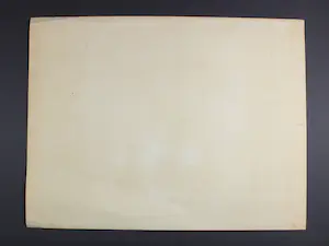 Jan A.M.J. Hurx - Zebra's kopen? Bied vanaf 25!