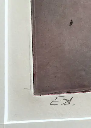 Marcel Schellekens - Kleur ets Roze anemonen in vaas, gesigneerd en ingelijst kopen? Bied vanaf 95!