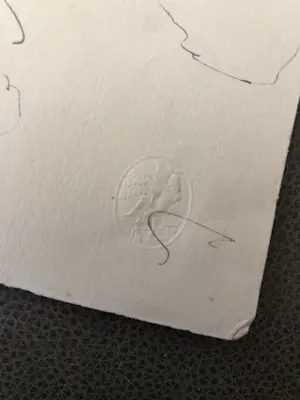 Henri Matisse - De "Odalisque" lithographic print kopen? Bied vanaf 60!