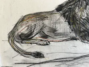 Cornelis Jan Mension - Tekening van een rustende leeuw en leeuwin, gemaakt in Artis kopen? Bied vanaf 85!