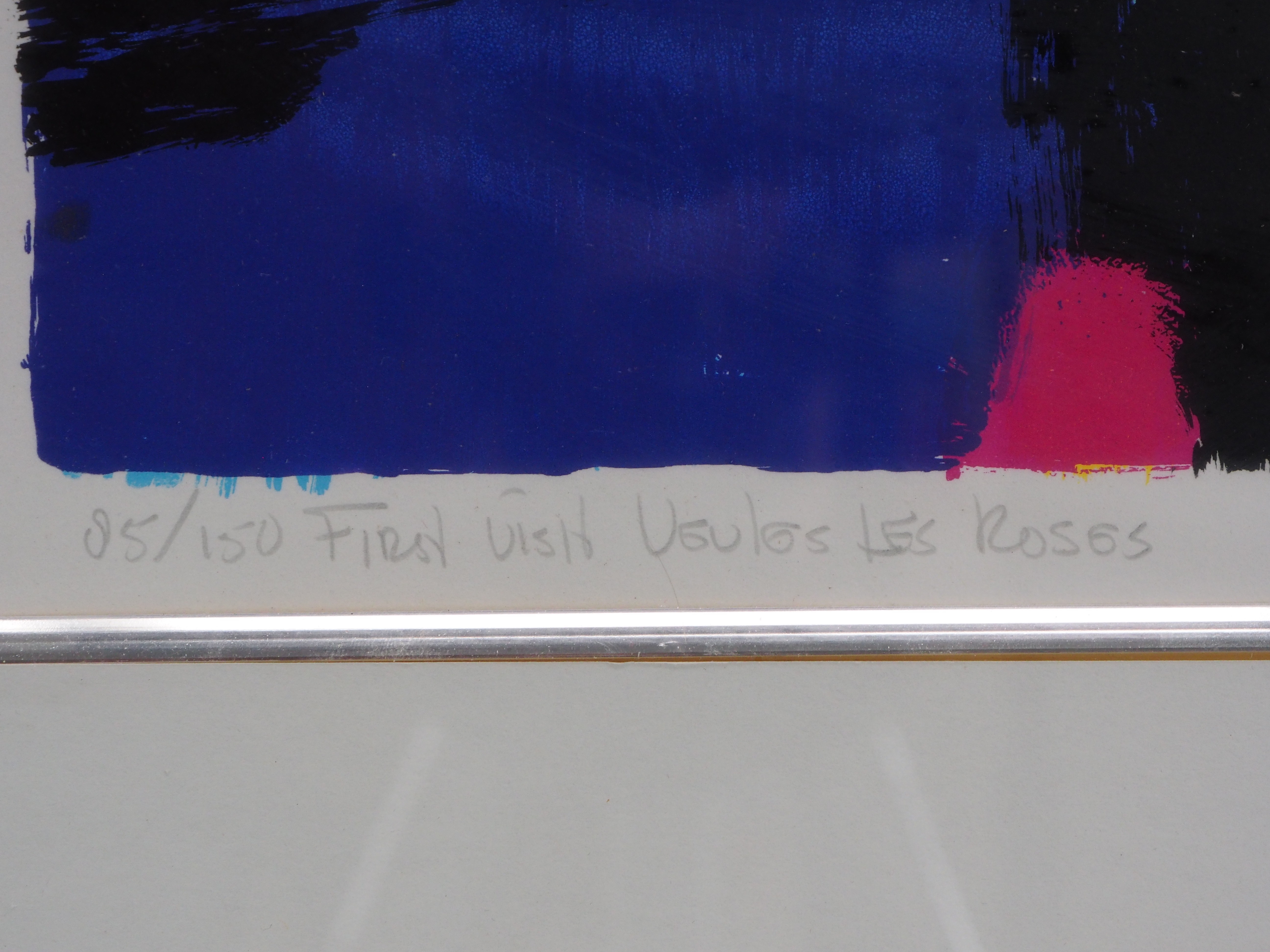 Frank Lejeune - First visit Veules les Roses kopen? Bied vanaf 75!