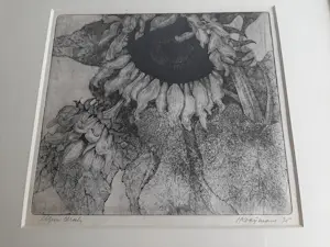 Ad Kooijmans - Ets, Zonnebloem. kopen? Bied vanaf 35!