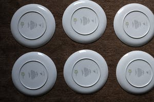 Curiosa - 6 Exclusive Design plates Dutch Art | Original Dutch made kopen? Bied vanaf 1!