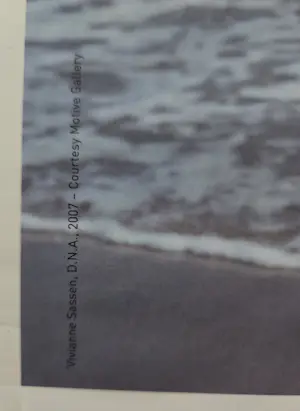 Viviane Sassen - Portret. Prix de Rome. kaufen? Bieten Sie von 49!