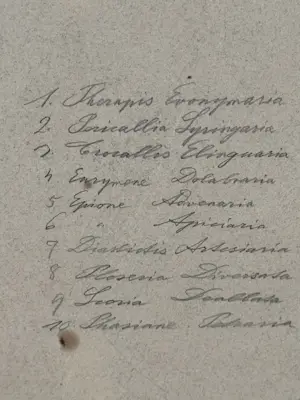 Rie Cramer - botanische vlinders prent kopen? Bied vanaf 25!