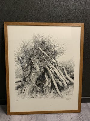 Patrick Creyghton - boomstronken kopen? Bied vanaf 49!