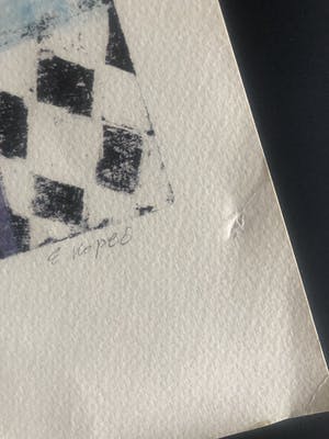 Eliza Kopec - The emotional birds kopen? Bied vanaf 45!