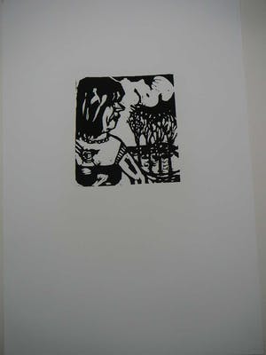 Aad de Haas - Poldergezicht kopen? Bied vanaf 35!