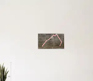 Robert Roelink - OUR OWN DOWNFALL kopen? Bied vanaf 276!