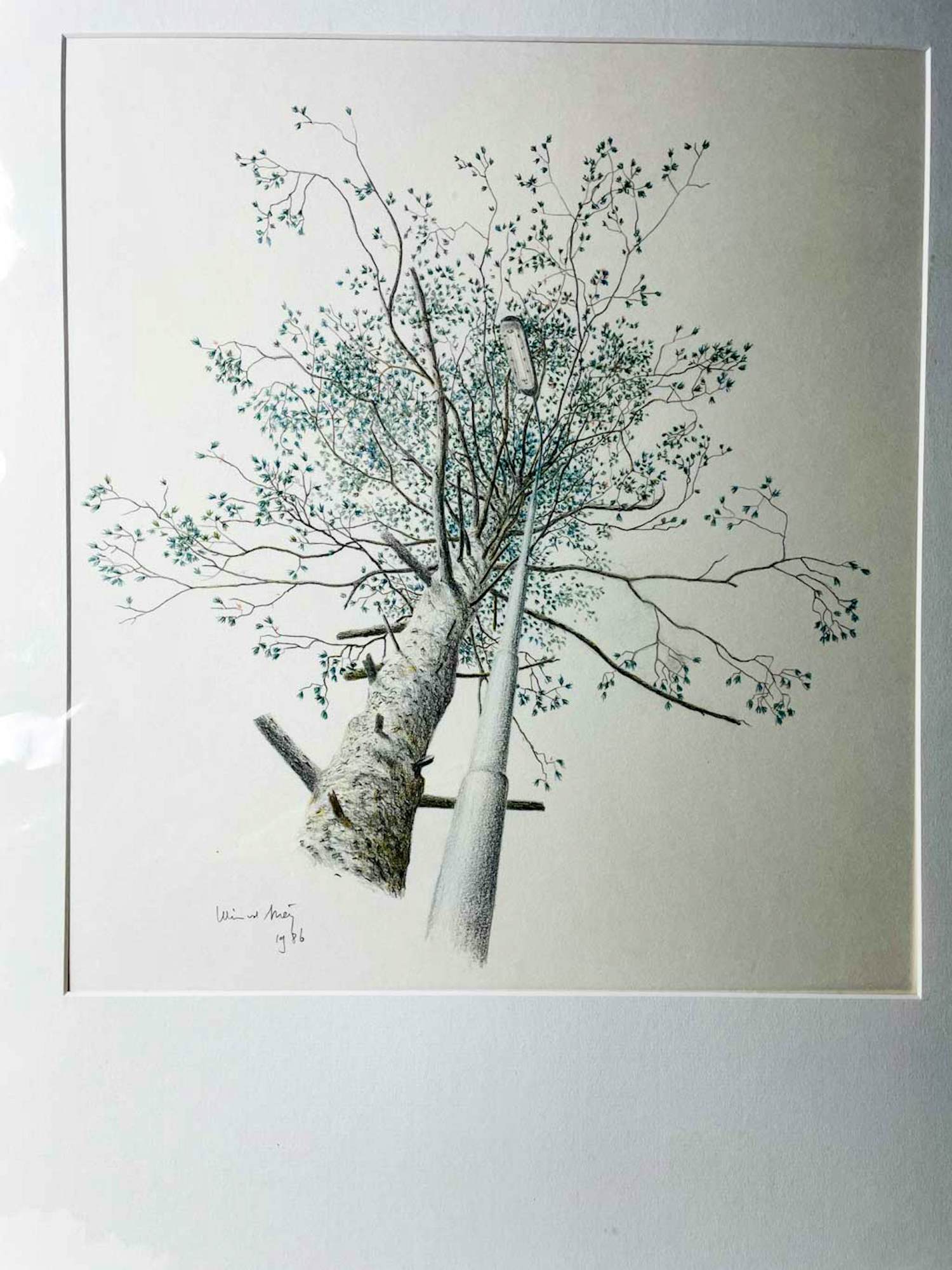 Wim van der Meij - Boom en lantaarnpaal kopen? Bied vanaf 75!