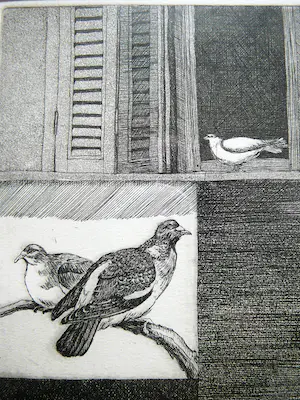 Hester de Beus - Vogels -ets 1985- kopen? Bied vanaf 35!