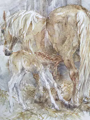 Piet Klaasse - Paarden, proefdrukken offsetlitho, 2-zijdig bedrukt, gesigneerd in druk kopen? Bied vanaf 25!