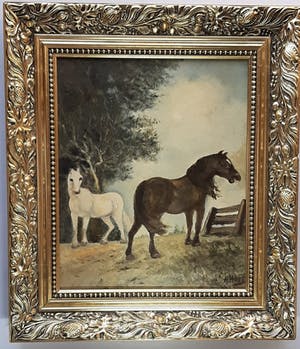 Anne Hoff - Twee paarden kopen? Bied vanaf 39!