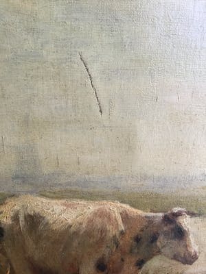 Fedor van Kregten - C3777, Koeien aan de waterkant kopen? Bied vanaf 450!