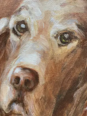 Niet of onleesbaar gesigneerd - Schilderij van hondje op board, in baklijst kopen? Bied vanaf 10!