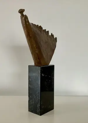 Tjikkie Kreuger - Windgodin kopen? Bied vanaf 225!