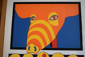 Ton Klop - Varkentje kopen? Bied vanaf 50!